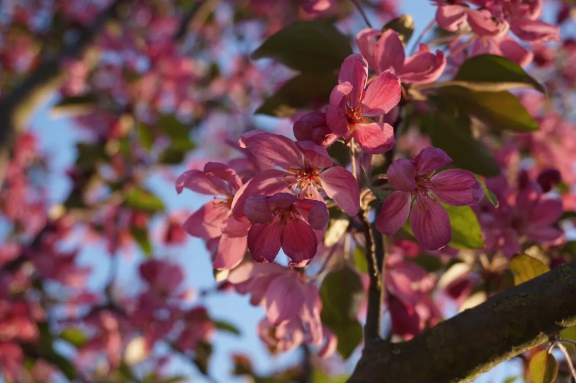 Frühling