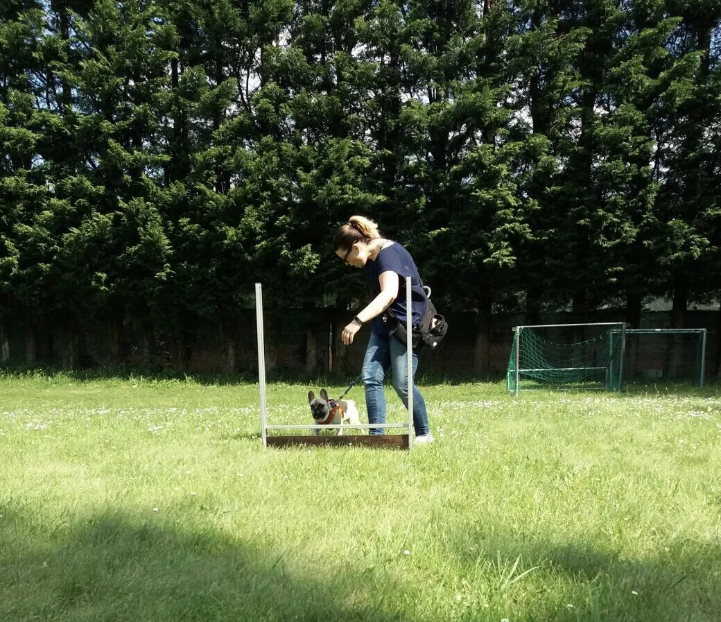 Intensiv Seminar Mensch-Hund-Beziehung