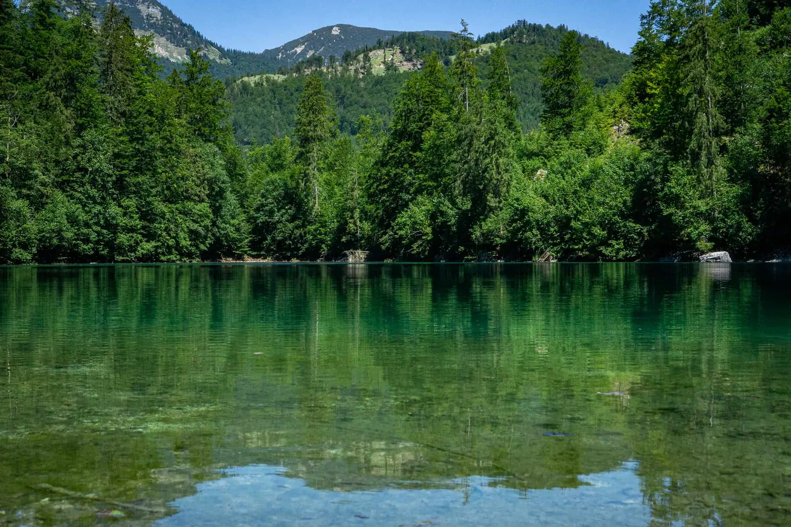Kleiner Ödsee Hundereise