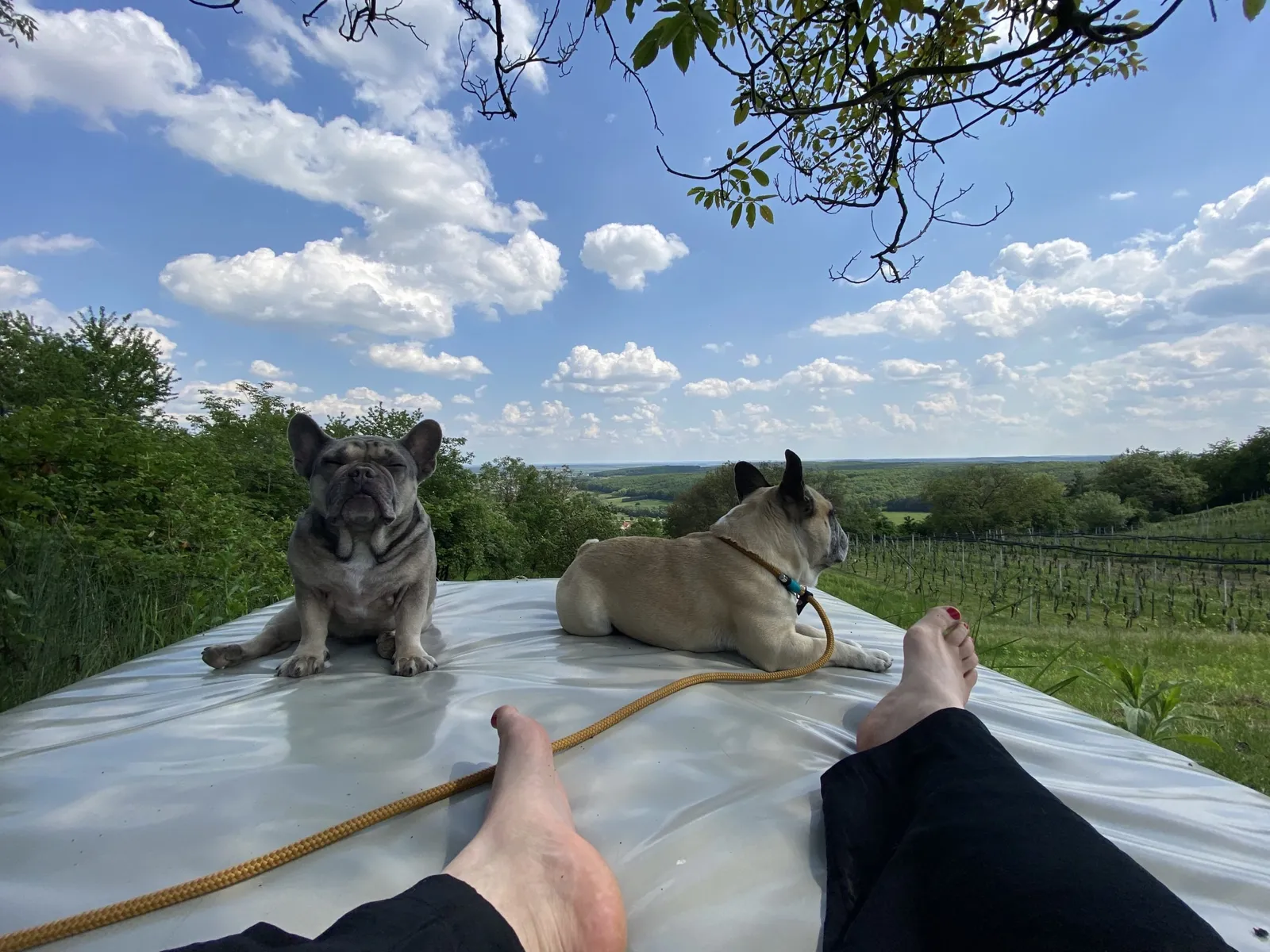 Archie Murphy und ich auf der Liege am Ende vom Weinloft Gartenhang
